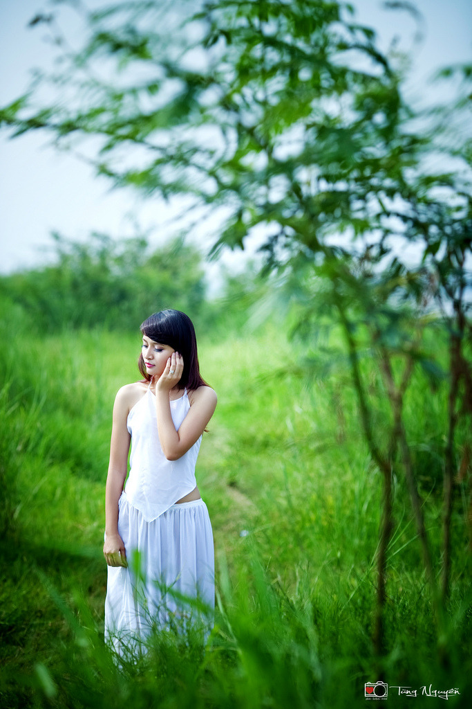 欧美视频免费播放